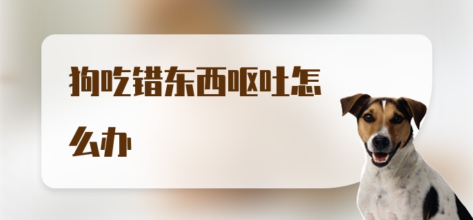 狗吃错东西呕吐怎么办