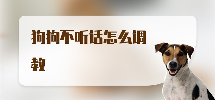 狗狗不听话怎么调教