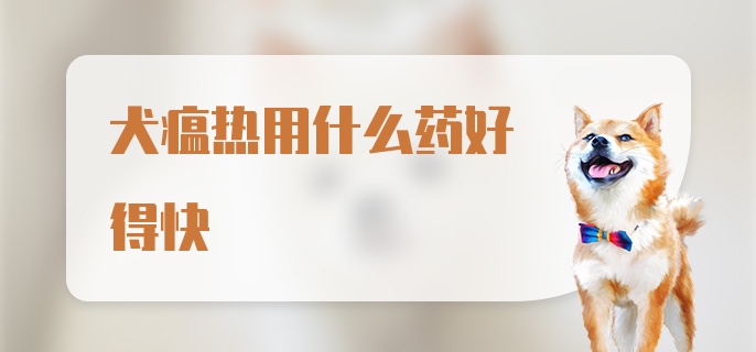 犬瘟热用什么药好得快