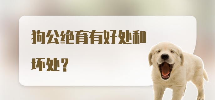 狗公绝育有好处和坏处？