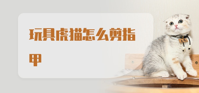 玩具虎猫怎么剪指甲