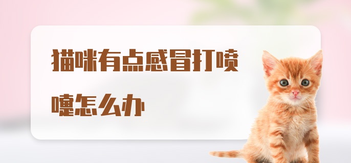 猫咪有点感冒打喷嚏怎么办