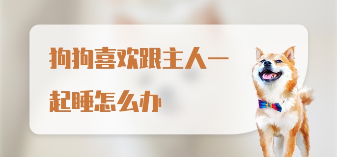 狗狗喜欢跟主人一起睡怎么办