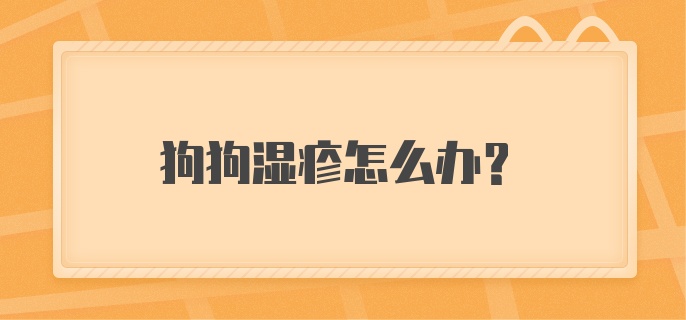 狗狗湿疹怎么办?