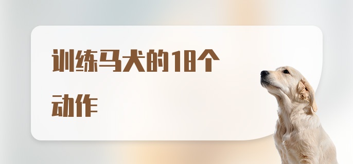 训练马犬的18个动作