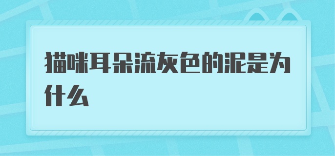 猫咪耳朵流灰色的泥是为什么