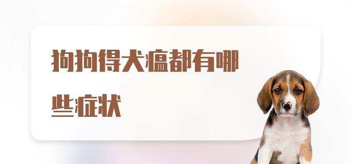 狗狗得犬瘟都有哪些症状