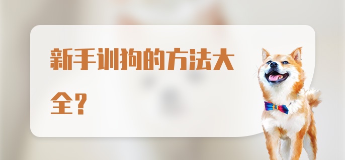 新手训狗的方法大全？