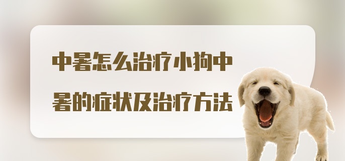 中暑怎么治疗小狗中暑的症状及治疗方法