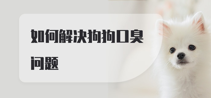 如何解决狗狗口臭问题