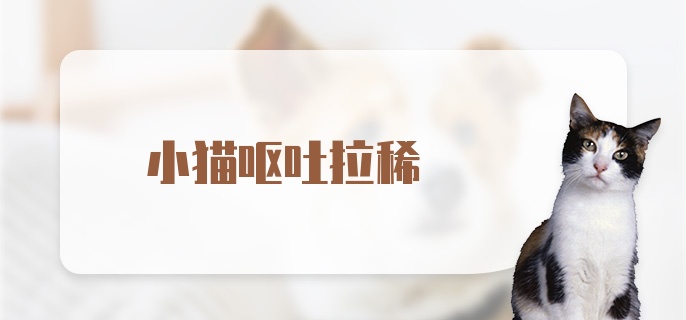 小猫呕吐拉稀