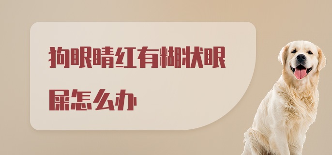 狗眼睛红有糊状眼屎怎么办