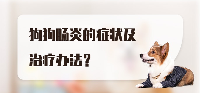 狗狗肠炎的症状及治疗办法？