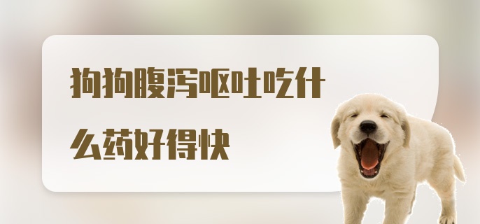 狗狗腹泻呕吐吃什么药好得快