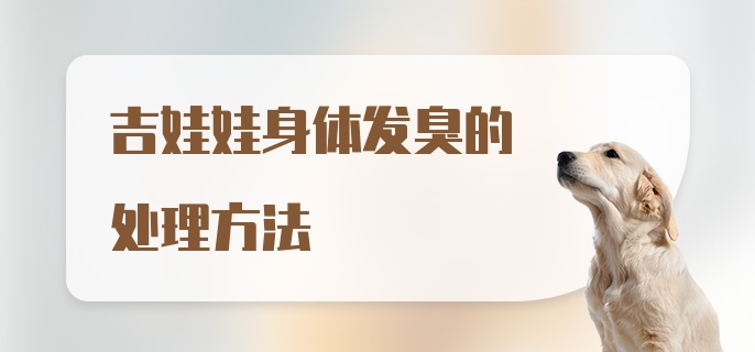 吉娃娃身体发臭的处理方法