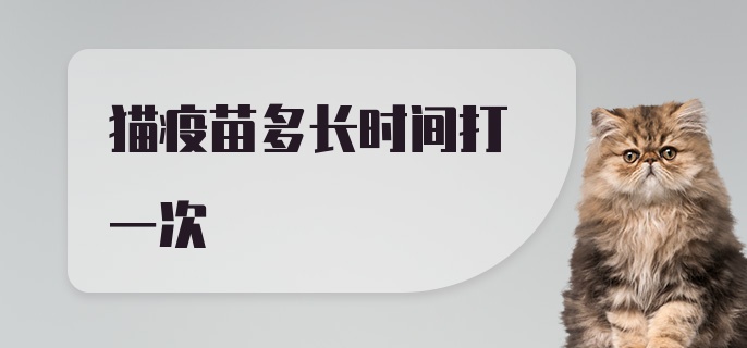 猫疫苗多长时间打一次