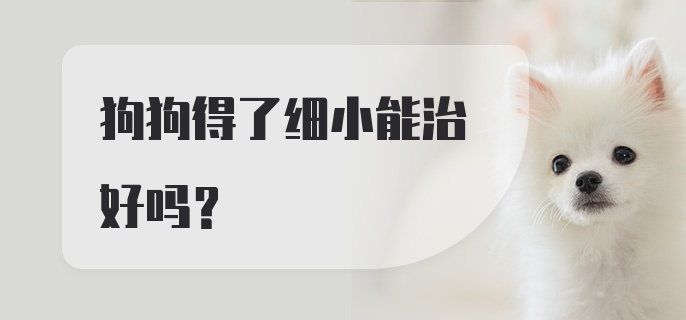 狗狗得了细小能治好吗?