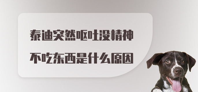 泰迪突然呕吐没精神不吃东西是什么原因