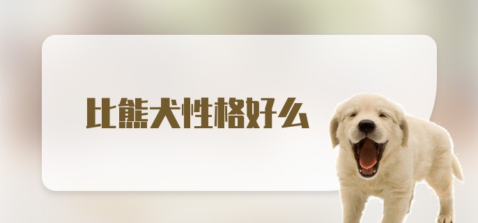 比熊犬性格好么