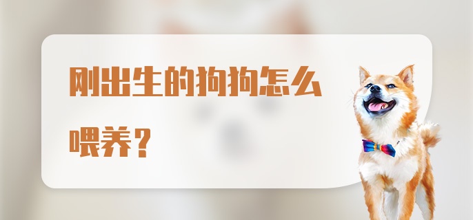 刚出生的狗狗怎么喂养？