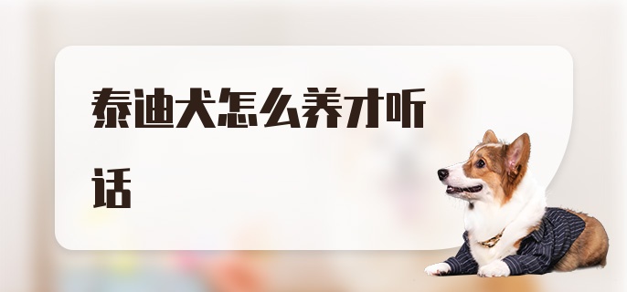 泰迪犬怎么养才听话