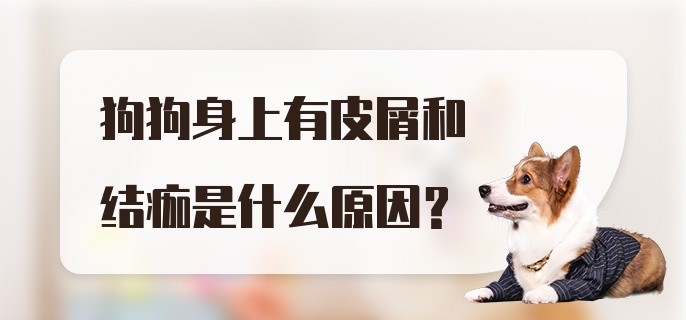 狗狗身上有皮屑和结痂是什么原因？