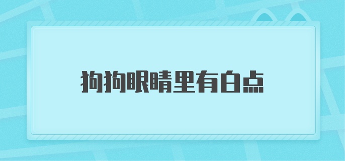 狗狗眼睛里有白点