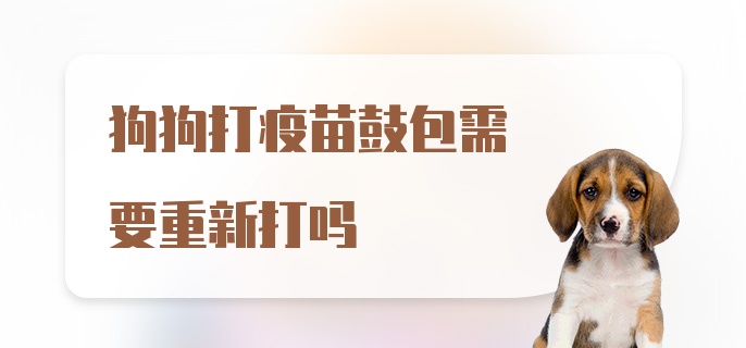 狗狗打疫苗鼓包需要重新打吗