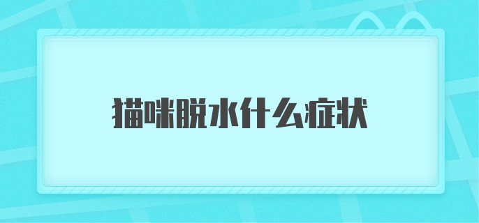 猫咪脱水什么症状