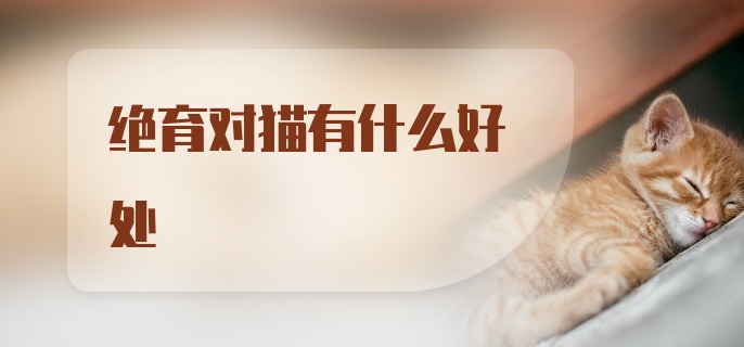 绝育对猫有什么好处