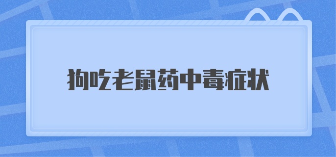 狗吃老鼠药中毒症状