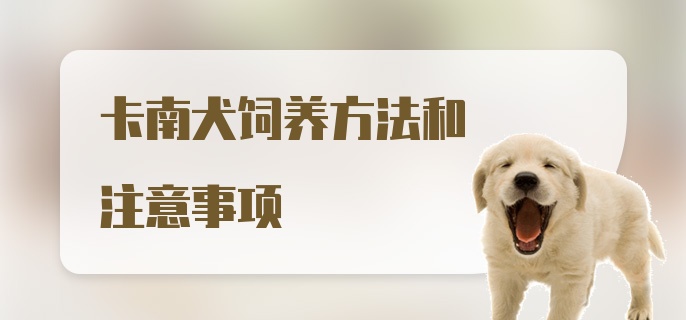 卡南犬饲养方法和注意事项