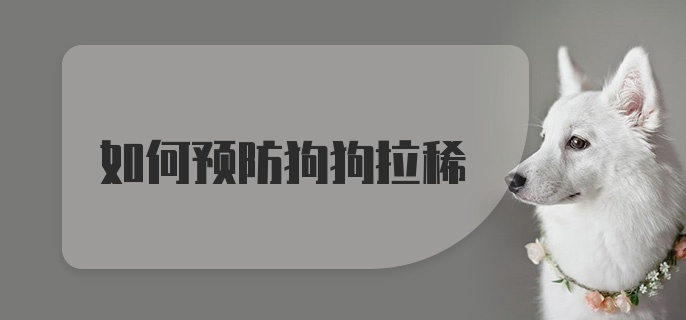 如何预防狗狗拉稀