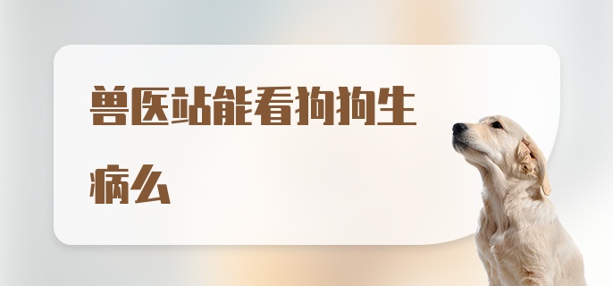 兽医站能看狗狗生病么