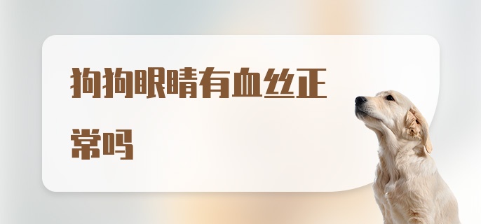 狗狗眼睛有血丝正常吗