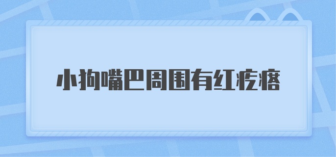 小狗嘴巴周围有红疙瘩