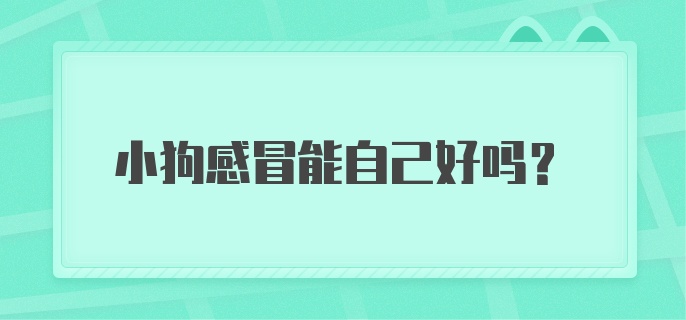 小狗感冒能自己好吗？