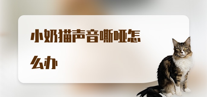 小奶猫声音嘶哑怎么办