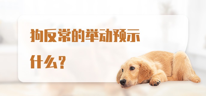 狗反常的举动预示什么？