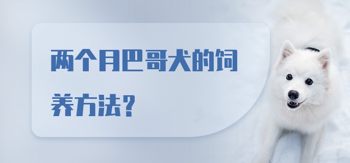 两个月巴哥犬的饲养方法？