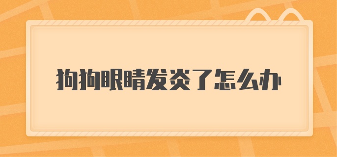 狗狗眼睛发炎了怎么办