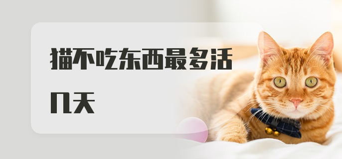 猫不吃东西最多活几天