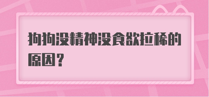 狗狗没精神没食欲拉稀的原因？