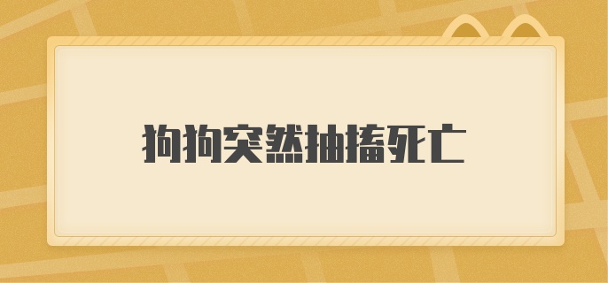 狗狗突然抽搐死亡