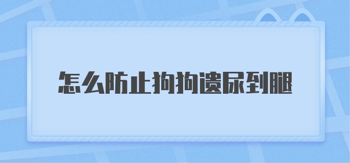 怎么防止狗狗遗尿到腿