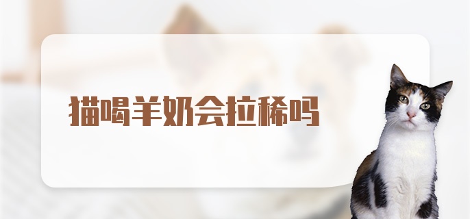 猫喝羊奶会拉稀吗