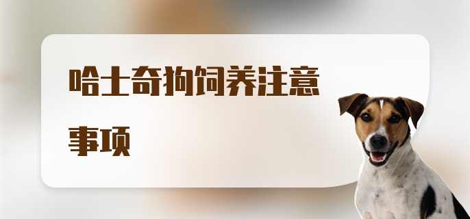 哈士奇狗饲养注意事项