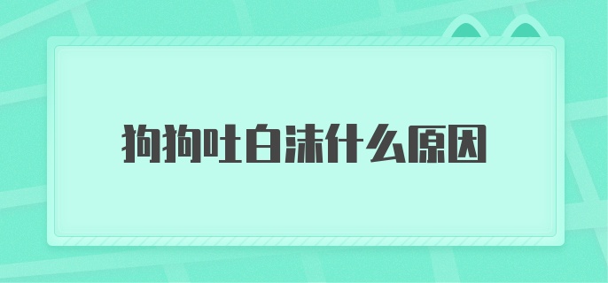 狗狗吐白沫什么原因