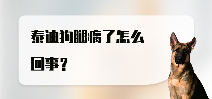 泰迪狗腿瘸了怎么回事？