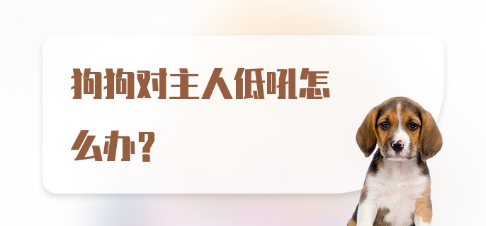 狗狗对主人低吼怎么办？